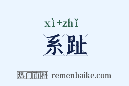 系趾是什么意思的图片